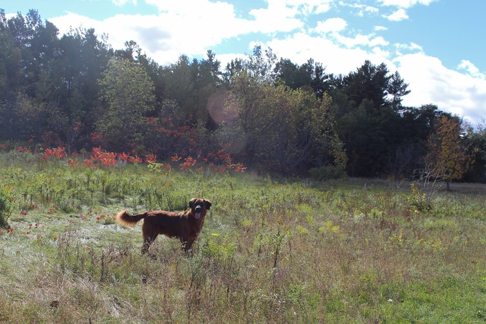 14671280_10210931947752669_1958733098102725631_n