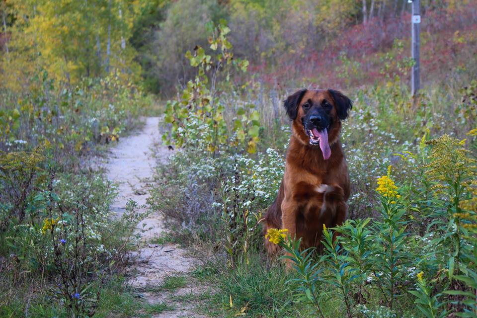 14717245_10210931946632641_8964911368118762664_n