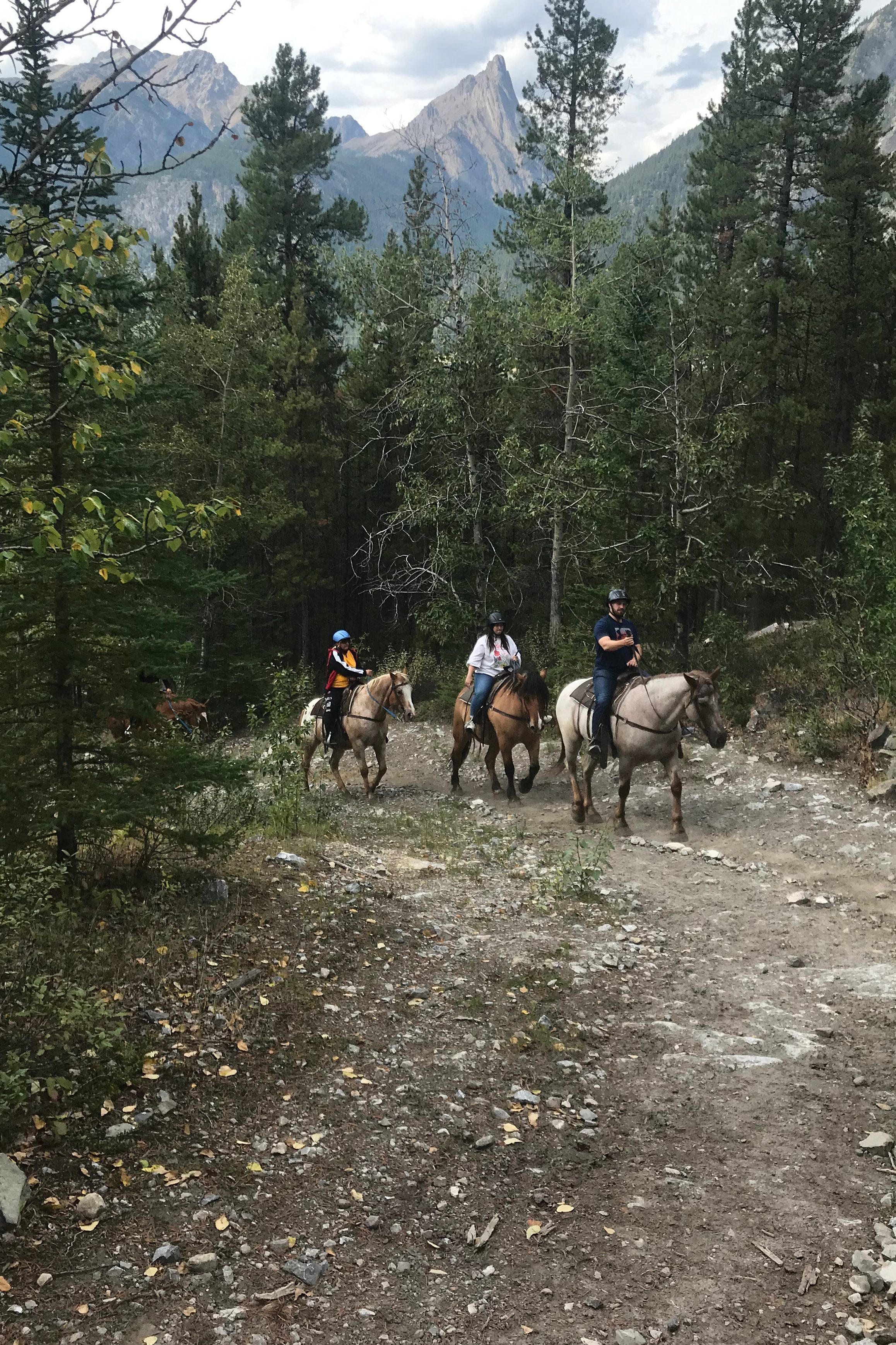 Horseback riding guided trail on Bow Valley trail in Banff National Park. 
