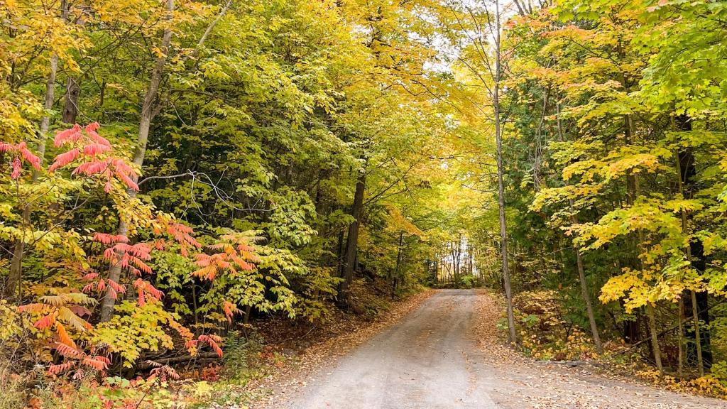 A Fall Weekend Getaway to View the Fall Colours in&nbsp;Ontario